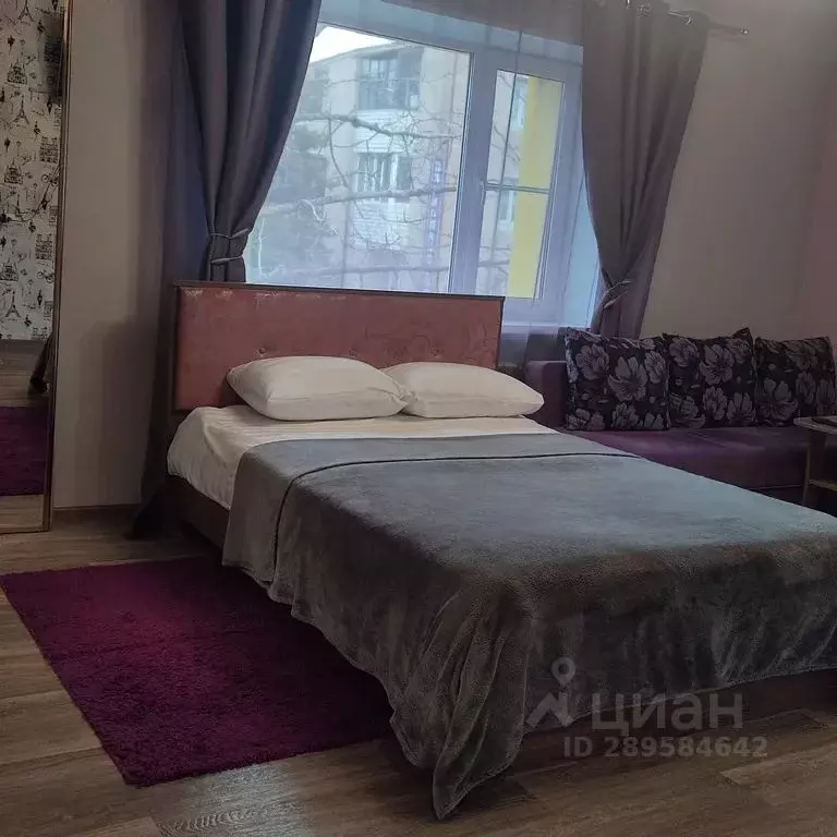 1-к кв. Камчатский край, Елизово ул. Беринга, 10 (31.0 м) - Фото 0
