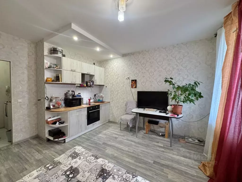 Студия Санкт-Петербург Усть-Славянка тер., ул. Заводская, 15 (23.9 м) - Фото 1
