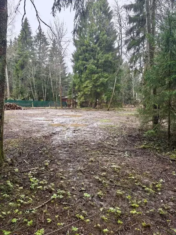 Участок в Московская область, Сергиево-Посадский городской округ, ... - Фото 1