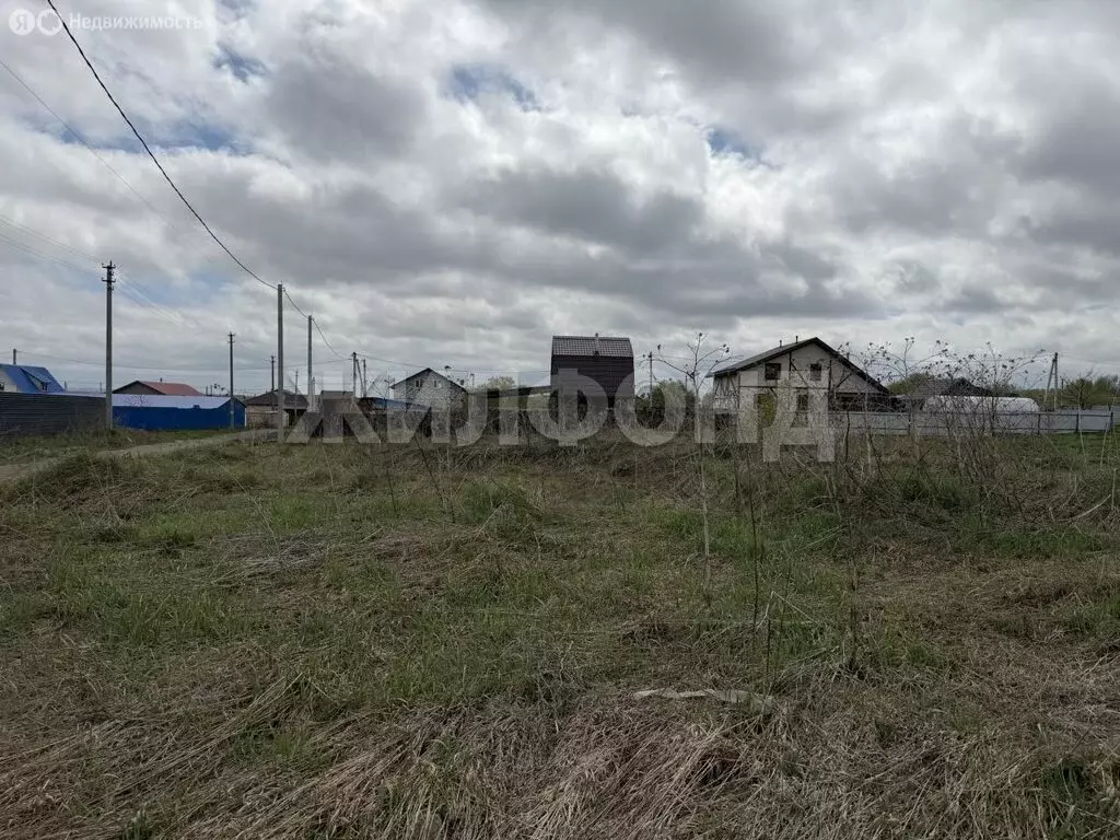 Участок в Искитимский район, Мичуринский сельсовет, деревня Бердь, ... - Фото 1