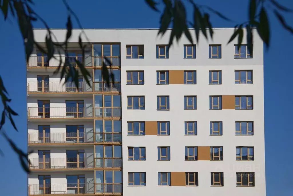 3-к кв. Курганская область, Курган Центральный жилрайон,  (74.56 м) - Фото 2