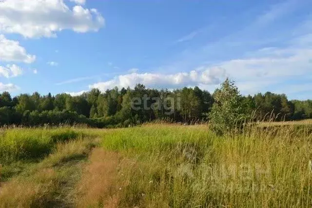 Участок в Алтайский край, Рубцовск Янтарная ул., 51 (10.0 сот.) - Фото 1