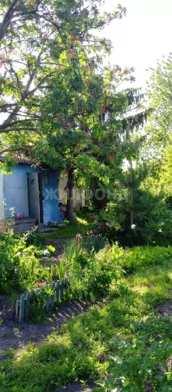Дом в Новосибирская область, Новосибирский район, с. Криводановка, ... - Фото 0