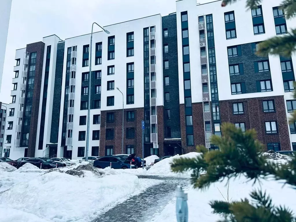 Студия Московская область, Подольск городской округ, д. Борисовка ... - Фото 2