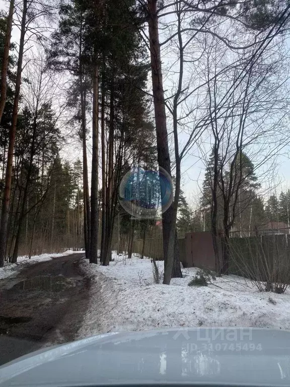 Участок в Московская область, Пушкинский городской округ, Черкизово дп ... - Фото 0