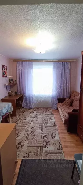 Комната Воронежская область, Воронеж ул. Любы Шевцовой, 21 (8.0 м) - Фото 1