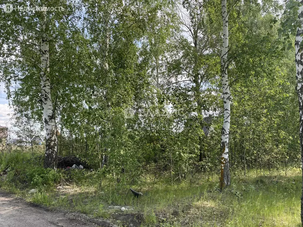 Купить Землю В Заре Пенза