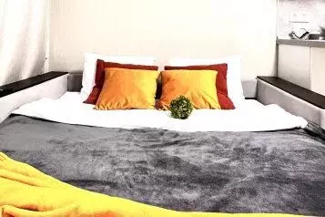 1-к кв. Московская область, Балашиха ул. Яганова, 3 (20.0 м) - Фото 1