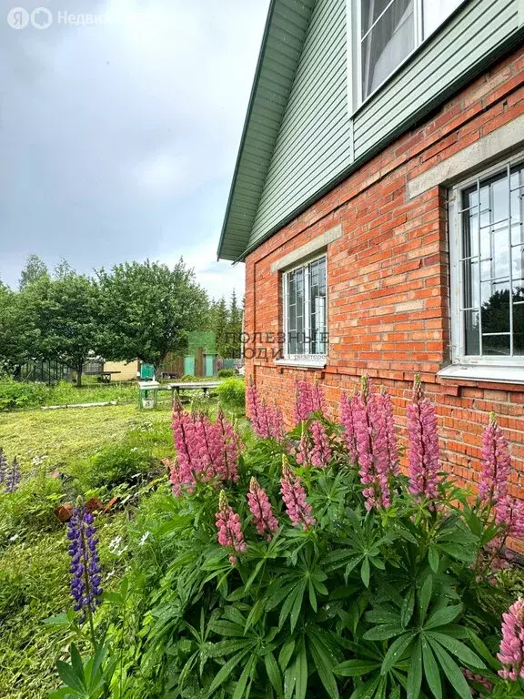 Дом в Вологодский муниципальный округ, деревня Бурцево (36.1 м) - Фото 0