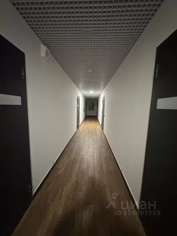 1-к кв. Свердловская область, Екатеринбург ул. Паригория Суетина, 3 ... - Фото 2