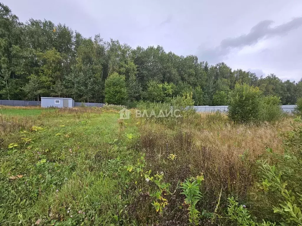 Участок в Московская область, Пушкинский городской округ, Лесная ... - Фото 1