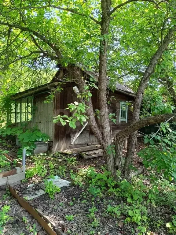 Участок в Амурская область, Благовещенск Амуравтотранс садовое ... - Фото 1