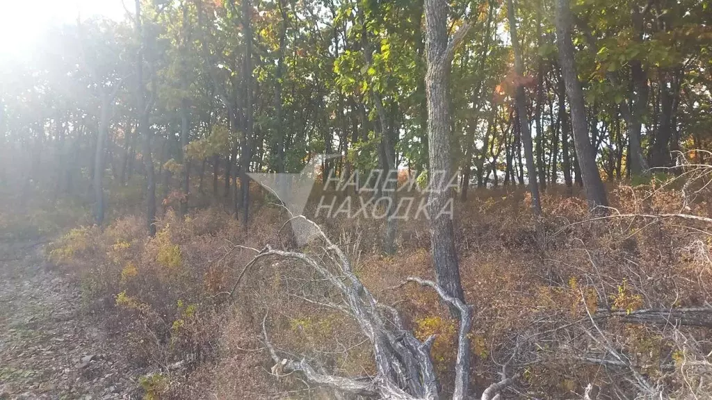 Участок в Приморский край, Находка Космическая ул. (15.0 сот.) - Фото 2