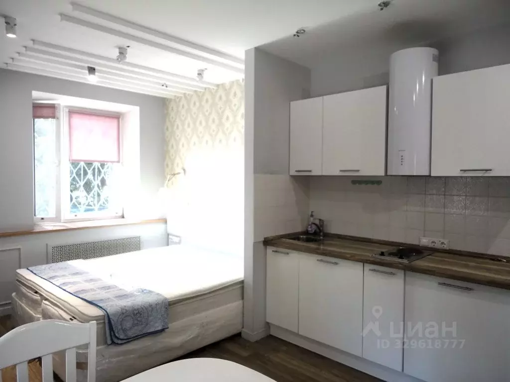 Студия Москва 2-й Лесной пер., 8 (25.0 м) - Фото 2