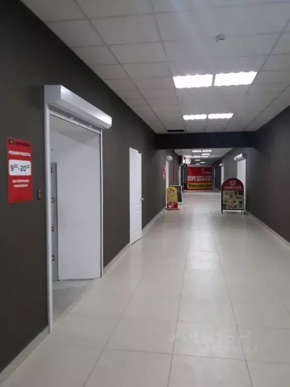 Торговая площадь в Хабаровский край, Хабаровск Трехгорная ул., 59 (300 ... - Фото 2