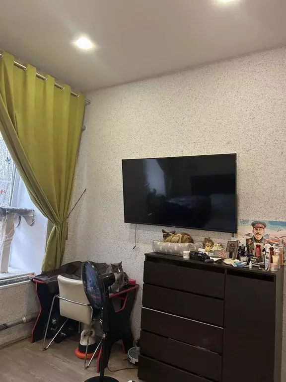 Комната Московская область, Ногинск Богородский городской округ, ул. ... - Фото 1