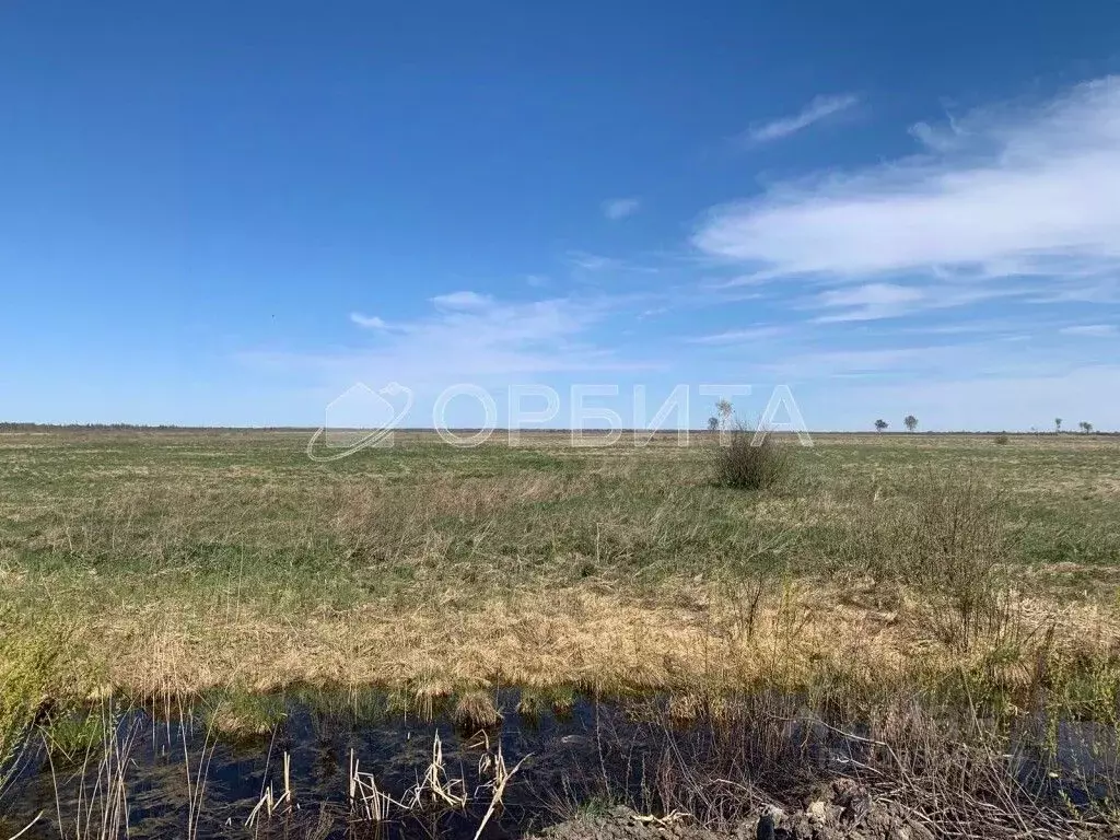 Участок в Тюменская область, Тюмень  (2100.0 сот.) - Фото 2