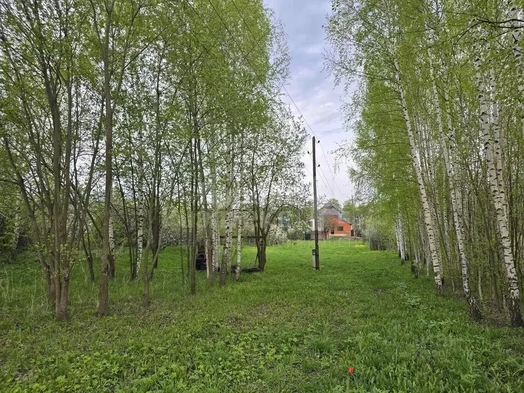 Участок в Нижегородская область, Нижний Новгород городской округ, д. ... - Фото 0