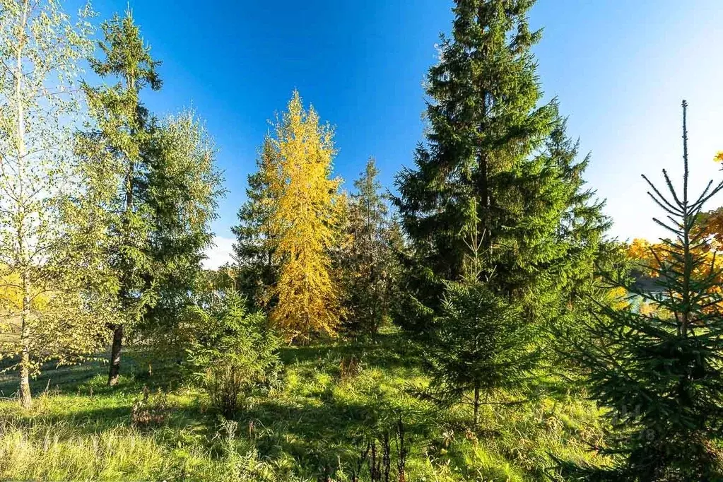 Участок в Московская область, Одинцовский городской округ, д. Шульгино ... - Фото 2