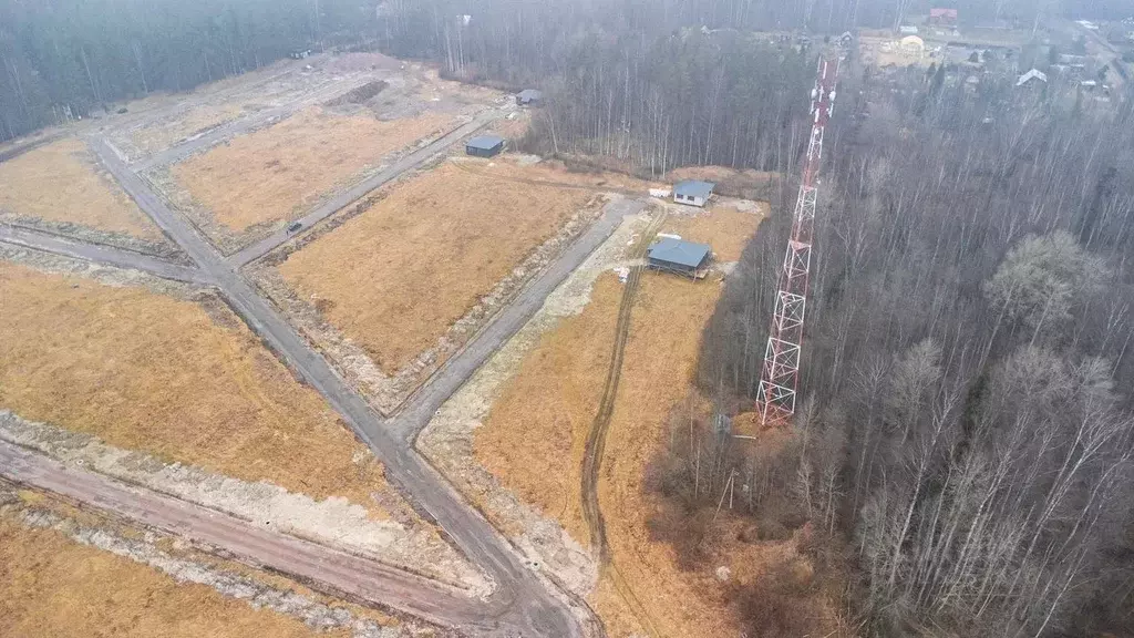 Участок в Ленинградская область, Приозерский район, Красноозерное ... - Фото 2