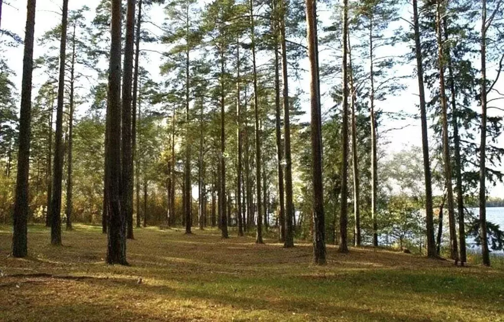 Участок, 10 сот., сельхоз (снт или днп) - Фото 0