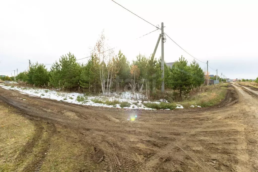 Участок в Тюмень, территория СОСН Локомотив, Стрелочная улица (5 м) - Фото 1