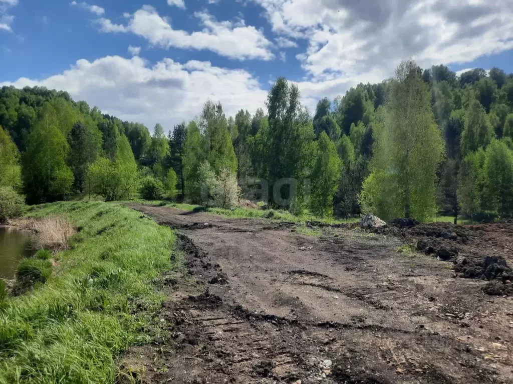 Участок в Алтайский край, Алтайский район, с. Сараса Новая ул. (170.0 ... - Фото 1