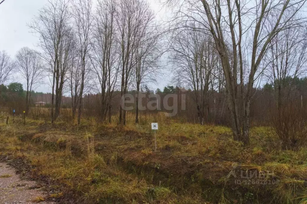 Участок в Ленинградская область, Выборгский район, Приморское ... - Фото 1