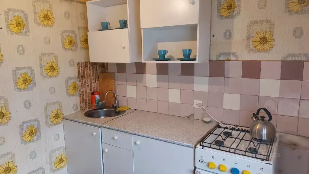 1-к кв. Ленинградская область, Выборгский район, Красносельское с/пос, ... - Фото 2