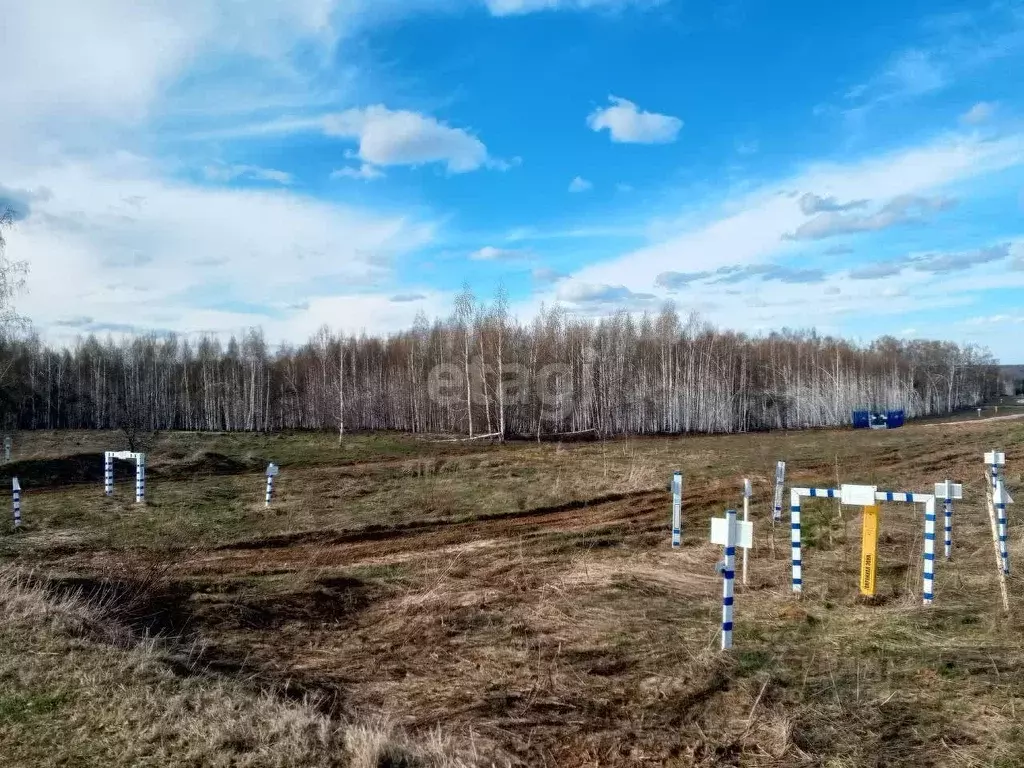 Участок в Нижегородская область, Богородский муниципальный округ, д. ... - Фото 1