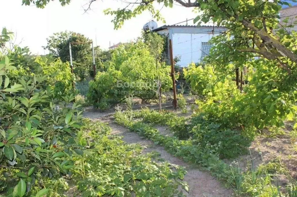 Дом в Крым, Щелкино Ленинский район, пл. Крымской весны (15 м) - Фото 1