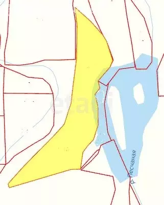 Участок в Алтайский район, село Куяган (480 м) - Фото 1