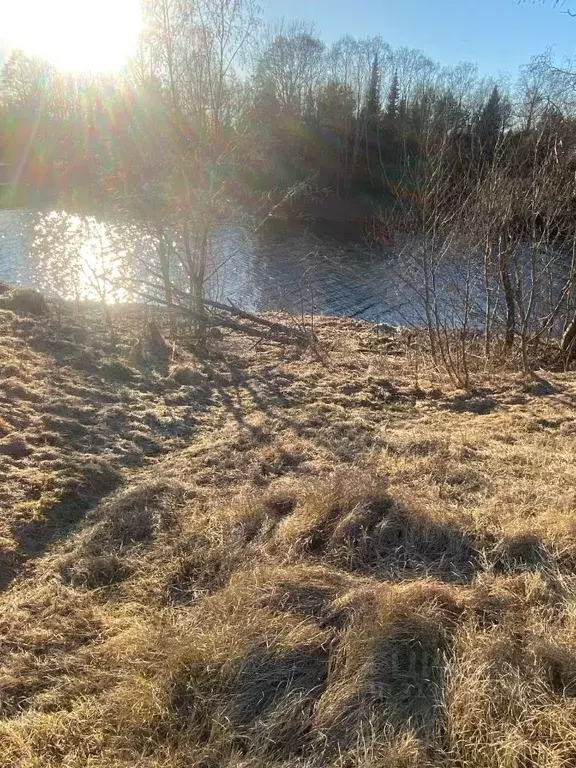 Участок в Тверская область, Конаковский муниципальный округ, д. ... - Фото 1