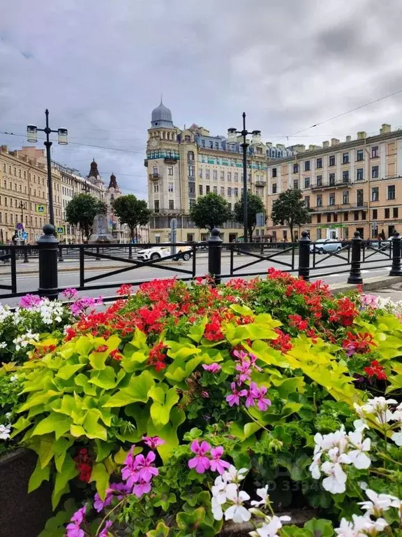 Комната Санкт-Петербург Московский просп., 1/2 (27.0 м) - Фото 1