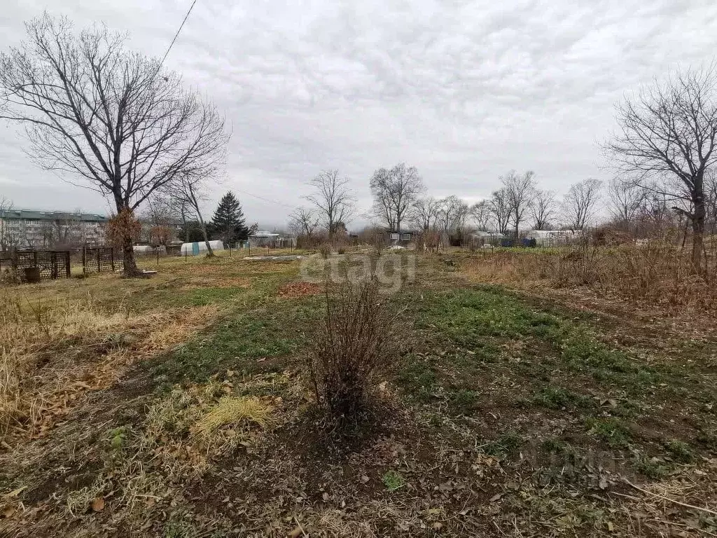 Участок в Приморский край, Артемовский городской округ, с. Суражевка ... - Фото 1