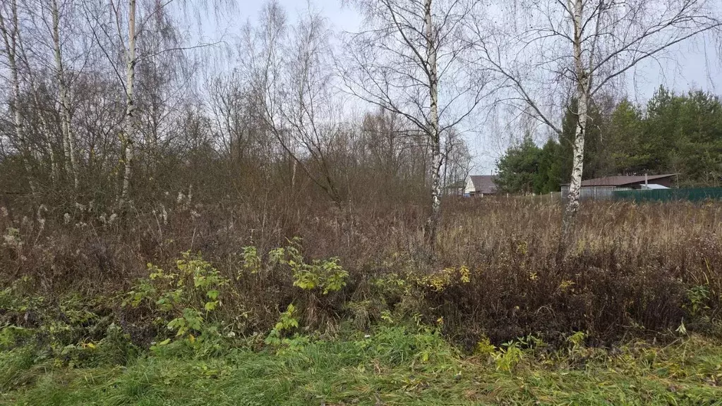 Участок в Московская область, Домодедово городской округ, д. Борисово  ... - Фото 2