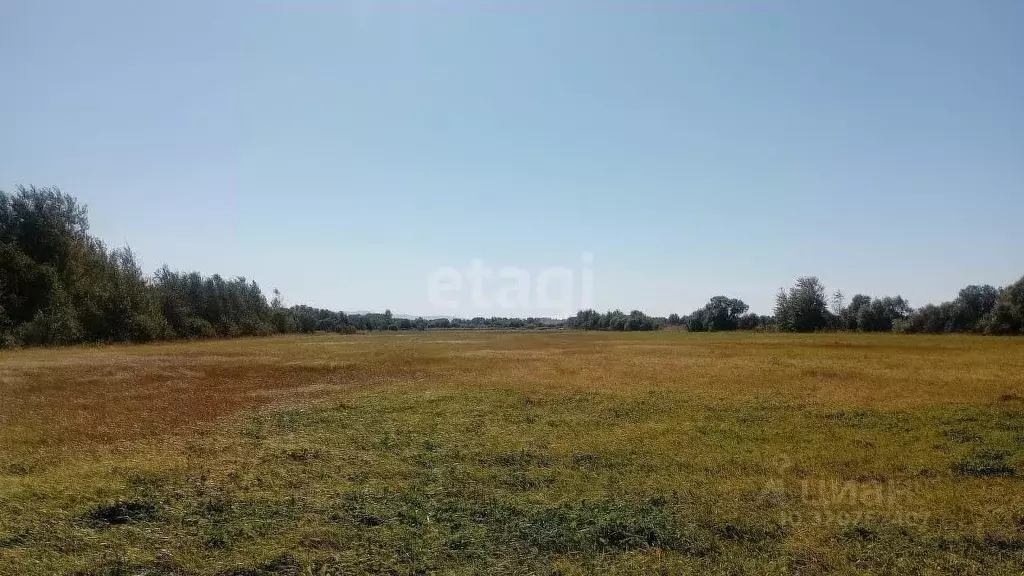 Участок в Еврейская автономная область, Смидовичский район, пос. ... - Фото 1