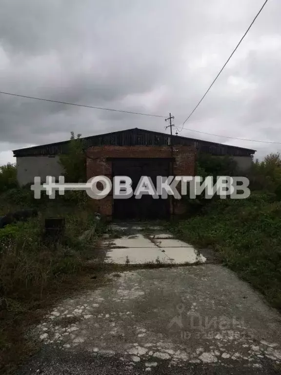 Помещение свободного назначения в Новосибирская область, Новосибирский ... - Фото 2