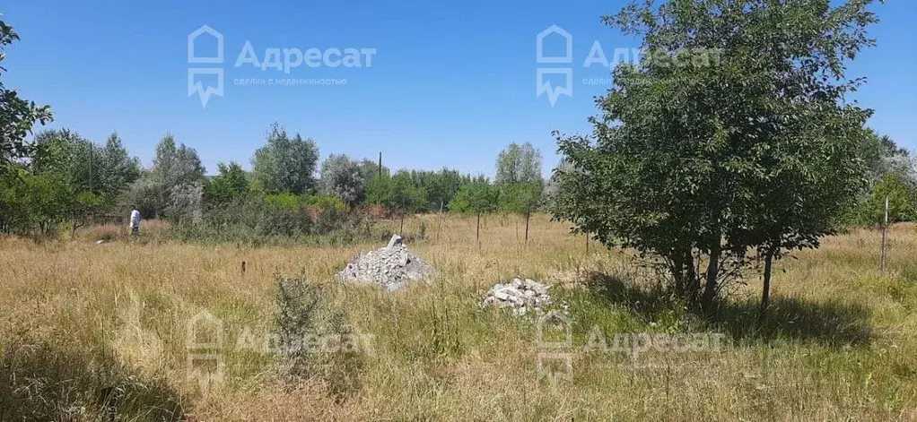 Участок в Волгоградская область, Калач-на-Дону Дон СНТ,  (6.0 сот.) - Фото 1