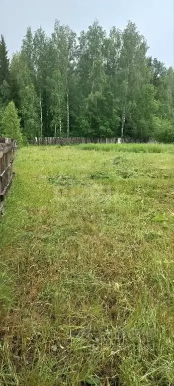 Участок в Тюменская область, Нижнетавдинский муниципальный округ, пос. ... - Фото 1