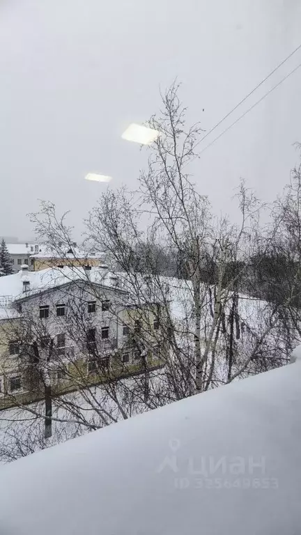 Офис в Владимирская область, Владимир ул. Столетовых, 9 (44 м) - Фото 1