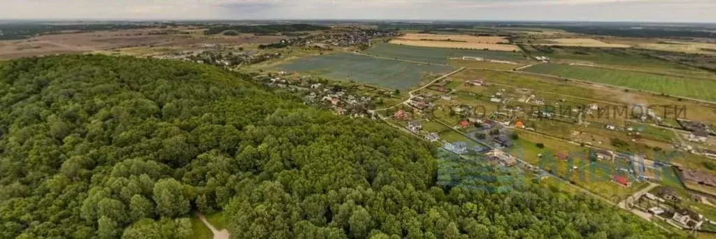 Участок в Ленинградская область, Ломоносовский район, Виллозское ... - Фото 2