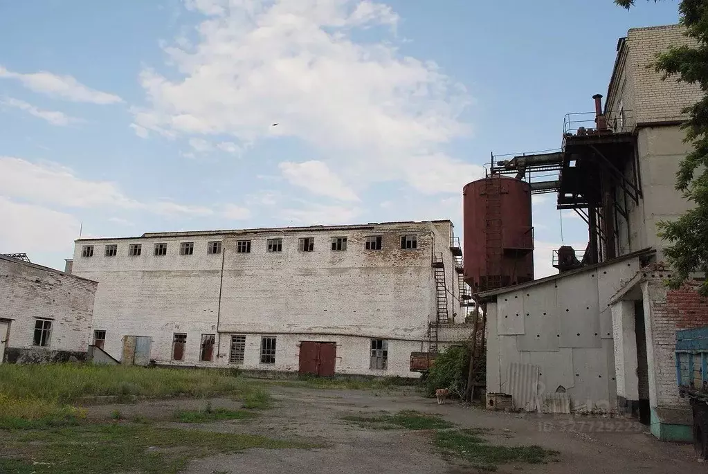 Производственное помещение в Ростовская область, Милютинская ст-ца ул. ... - Фото 2