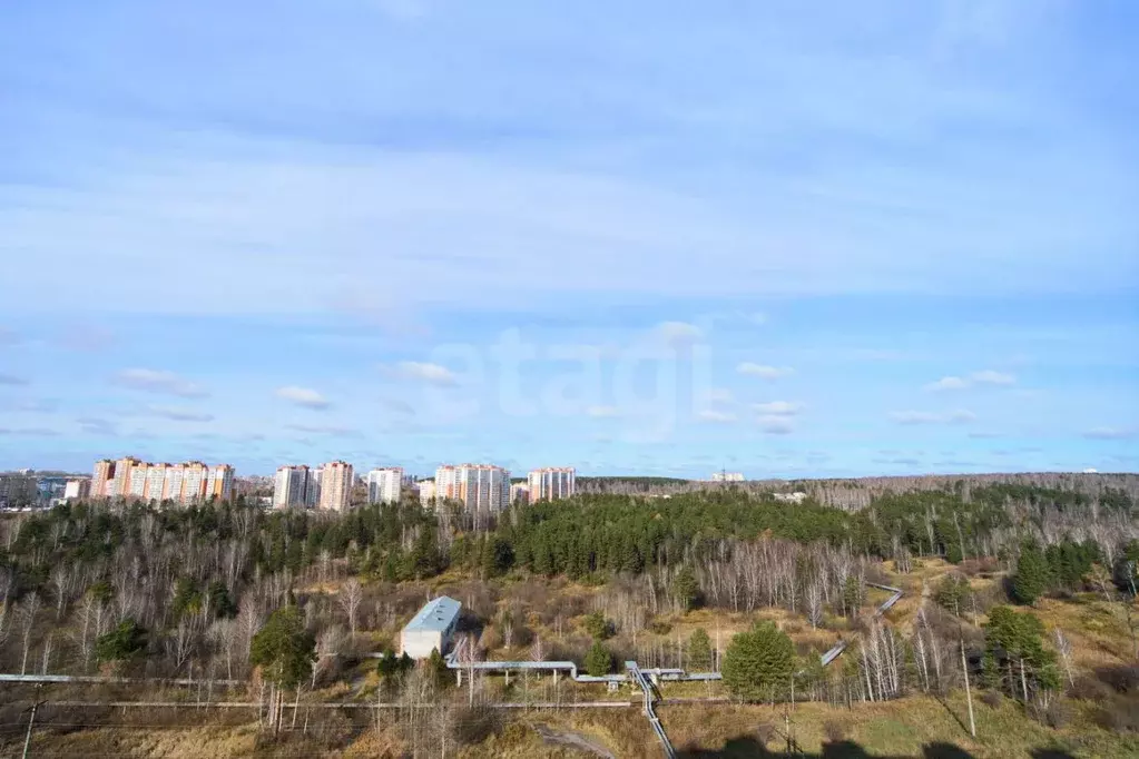 2-к кв. Томская область, Томск ул. Андрея Крячкова, 21 (62.4 м) - Фото 2