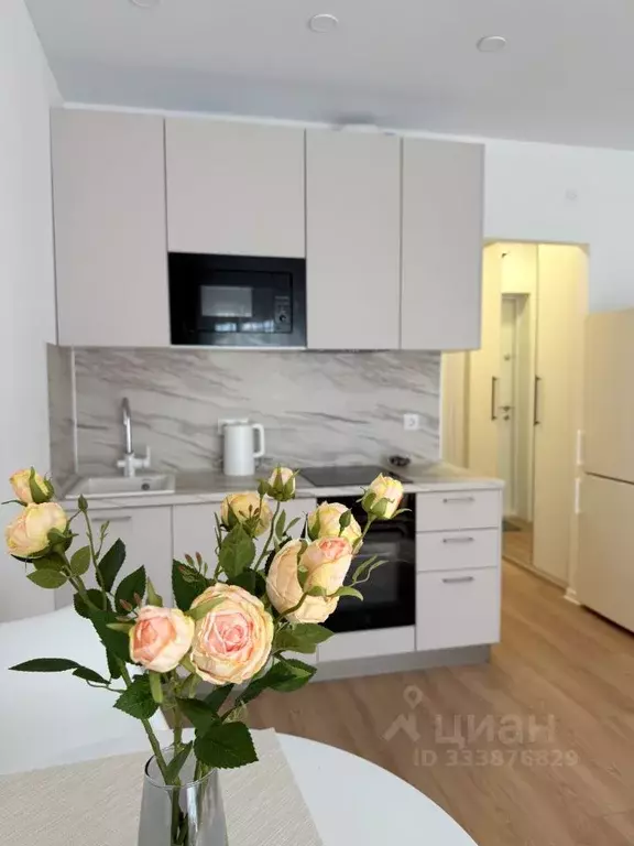Студия Москва ул. Трехполье, 6к1 (21.0 м) - Фото 1
