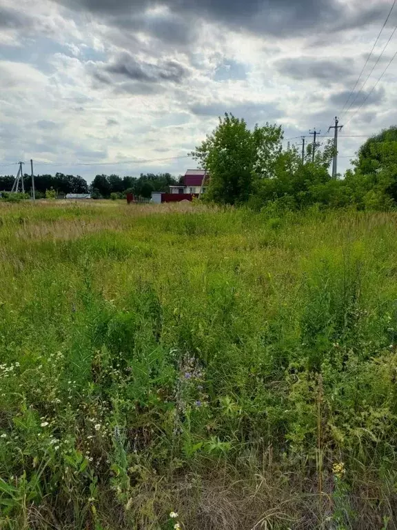 Участок в Тульская область, Ясногорский район, Иваньковское с/пос, с. ... - Фото 1
