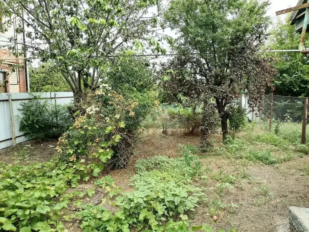 Участок в Краснодарский край, Кущевская ст-ца ул. Дзержинского (12.48 ... - Фото 1