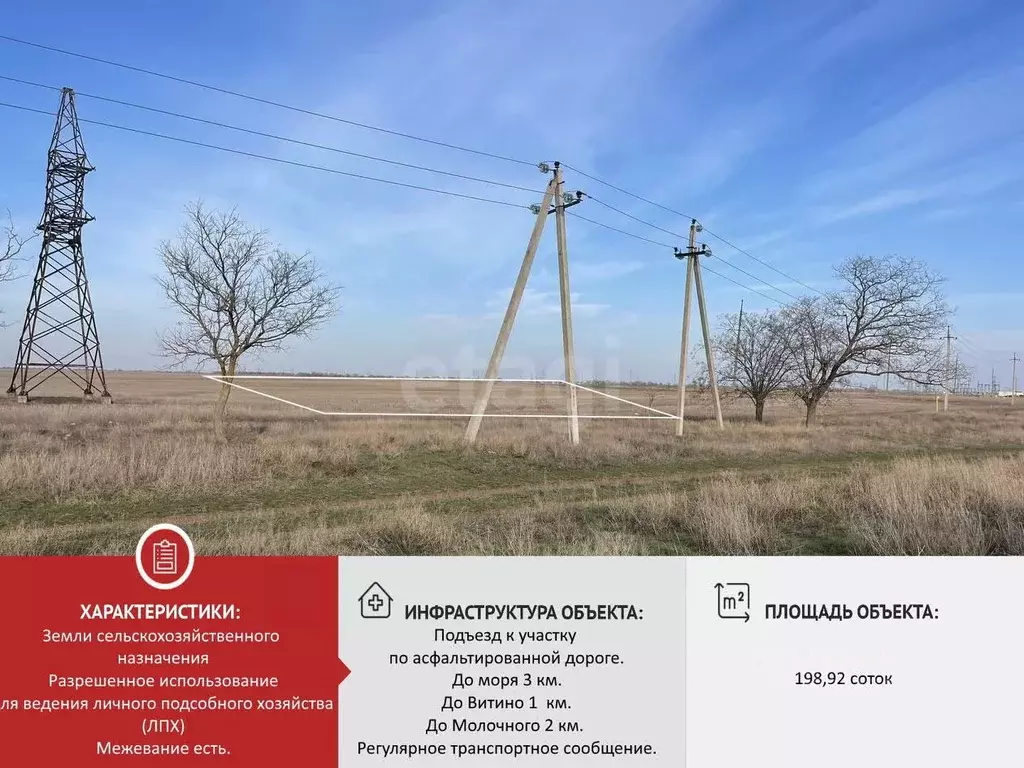 Участок в Крым, Сакский район, с. Молочное  (198.92 сот.) - Фото 1