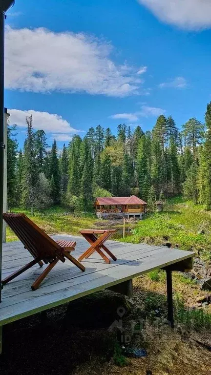 Дом в Алтай, Турочакский район, с. Артыбаш Телецкая ул., 100 (31 м) - Фото 0