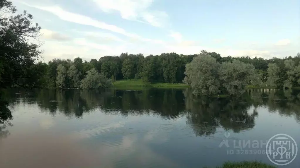 Участок в Ленинградская область, Лужский район, Ретюнское с/пос, д. ... - Фото 1